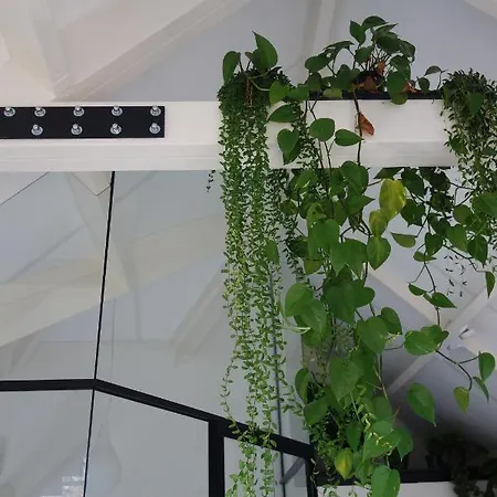 Achterom * Loon op Zand