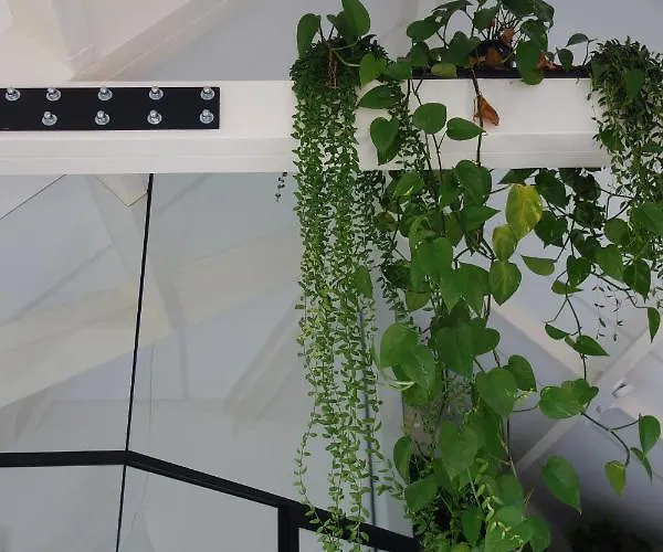 Achterom * Loon op Zand