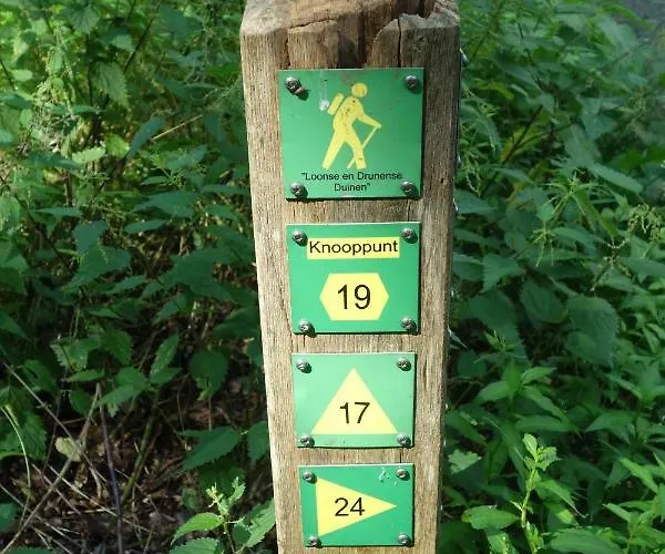 Achterom * Loon op Zand