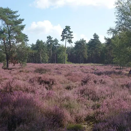 Achterom Apartment Loon op Zand