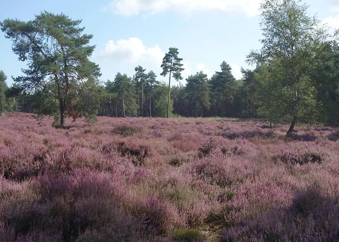 Achterom Apartment Loon op Zand